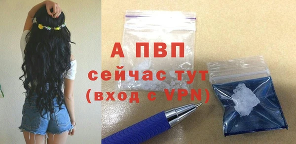 эйфоретик Новодвинск