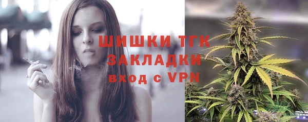 ГАЛЛЮЦИНОГЕННЫЕ ГРИБЫ Абаза